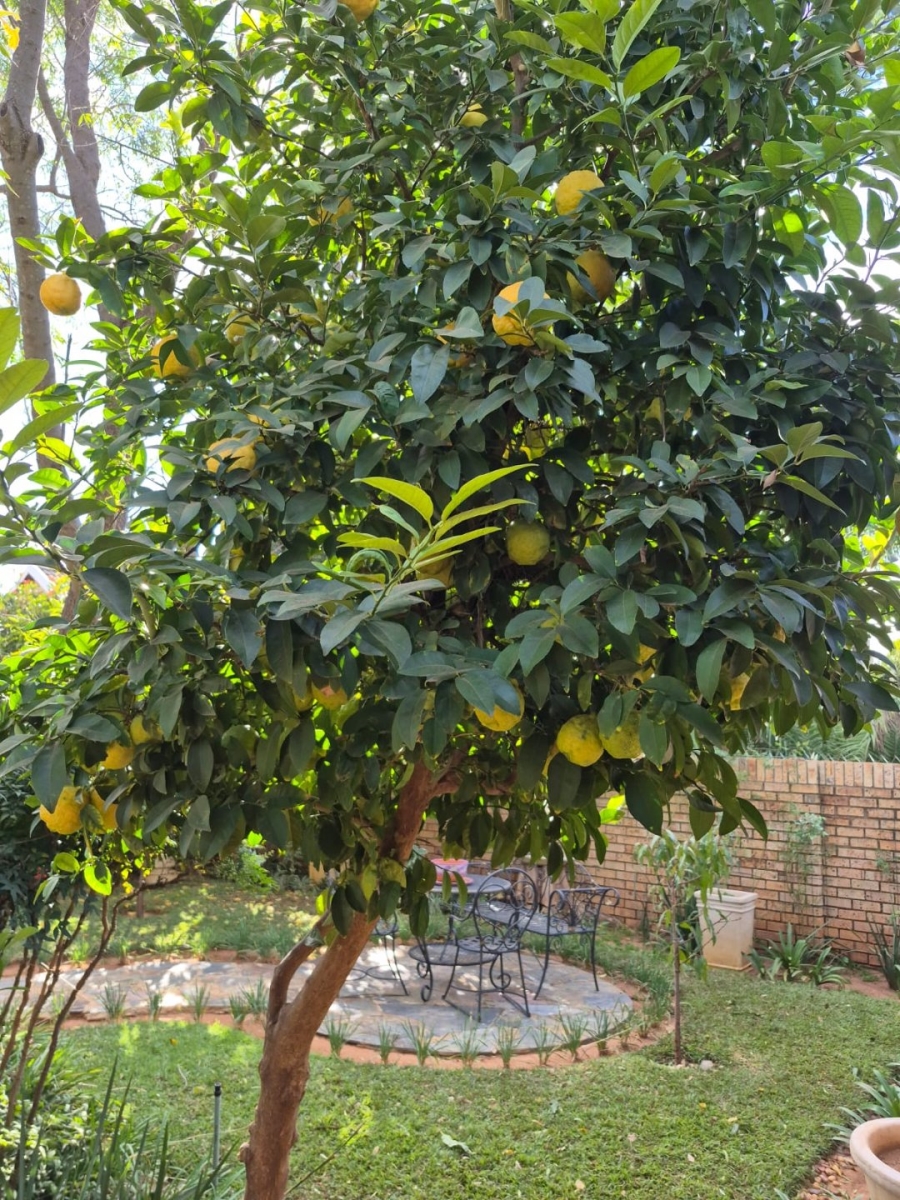 6 Bedroom Property for Sale in Flimieda North West